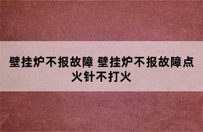 壁挂炉不报故障 壁挂炉不报故障点火针不打火